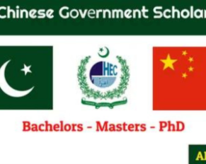 chinese government scholarship program 2024-25